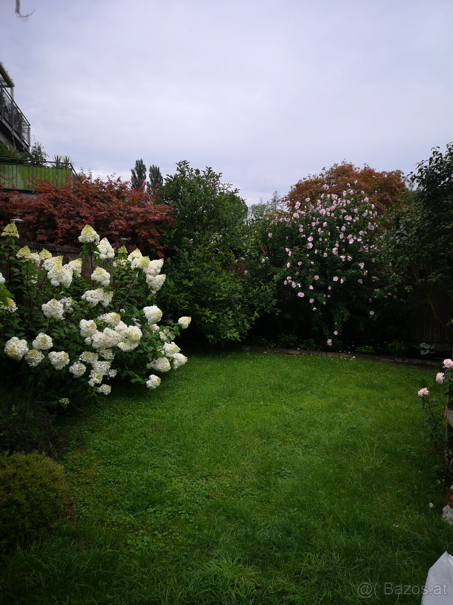 Maisonetten Wohnung mit Garten