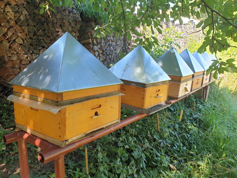 Pyramidendeckeln an Bienenstockn