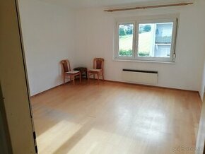 Wohnung in Bad Tatzmannsdorf 47m² zu vermieten