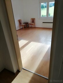 Wohnung in Bad Tatzmannsdorf 47m² zu vermieten - 2