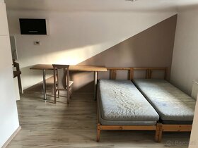 1 Zimmer zu mieten 20 m2 - 2