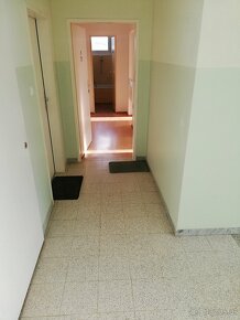 Wohnung in Bad Tatzmannsdorf 47m² zu vermieten - 3