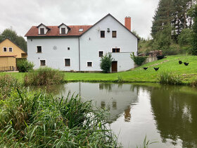 Charmante Mühle mit Teich, Wald, Weiden und 5 Wohnungen zu v - 4