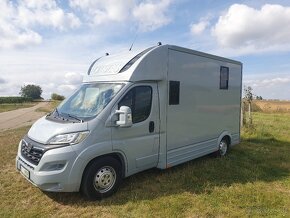 Opel Movano, 5-Sitzer, Pferdetransporter fuer Hengste - 4