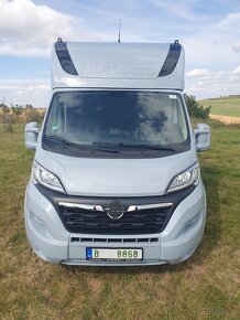 Opel Movano, 5-Sitzer, Pferdetransporter fuer Hengste - 6