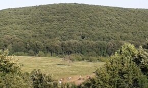 Jagdrevier 1000 Ha zu pachten und Landwirt. Boden in SK - 6