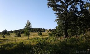 Jagdrevier 1000 Ha zu pachten und Landwirt. Boden in SK - 7